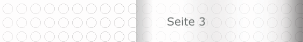  Seite 3
